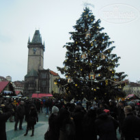 фото из отзыва ID 1655315