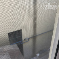 фото из отзыва ID 1655347