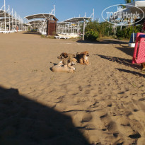 фото из отзыва ID 1655366