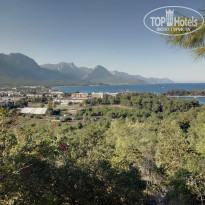 фото из отзыва ID 1655424