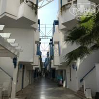 фото из отзыва ID 1655371