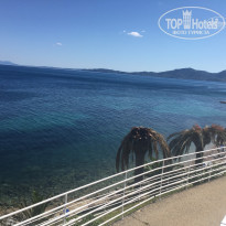 фото из отзыва ID 1654969