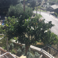 фото из отзыва ID 1655780