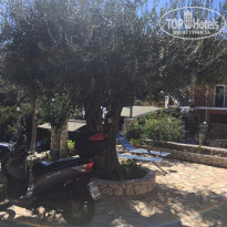 фото из отзыва ID 1655780