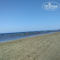 фото из отзыва ID 1655994