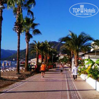 фото из отзыва ID 1656078