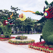 фото из отзыва ID 1656084