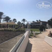 фото из отзыва ID 1656131