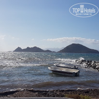 фото из отзыва ID 1656397