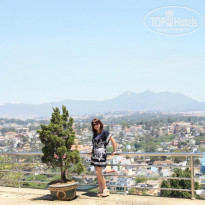 фото из отзыва ID 1656409