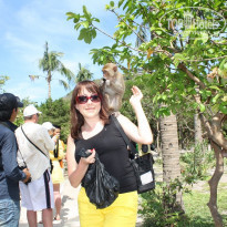 фото из отзыва ID 1656409