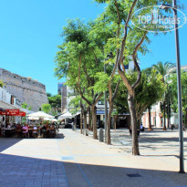 фото из отзыва ID 1656334