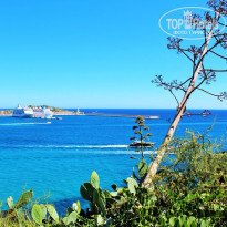 фото из отзыва ID 1656334