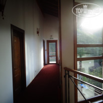 фото из отзыва ID 1656517