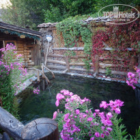 фото из отзыва ID 1656517