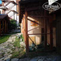 фото из отзыва ID 1656517