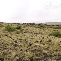 фото из отзыва ID 1656794