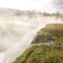 фото из отзыва ID 1656794