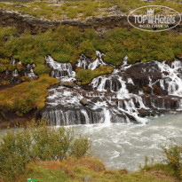 фото из отзыва ID 1656794