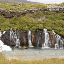 фото из отзыва ID 1656794