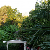 фото из отзыва ID 1656119