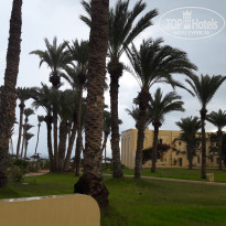 фото из отзыва ID 1657000