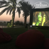 фото из отзыва ID 1657045