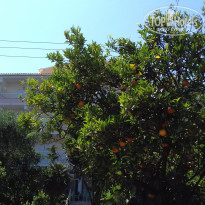 фото из отзыва ID 1655902