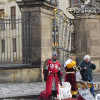 фото из отзыва ID 1657461