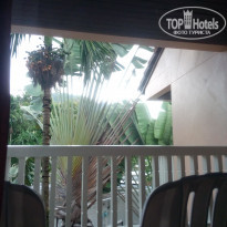 фото из отзыва ID 1657524