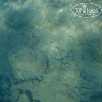 фото из отзыва ID 1657579