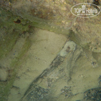 фото из отзыва ID 1657579