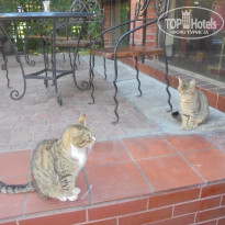 фото из отзыва ID 1657595