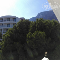 фото из отзыва ID 1657697