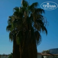 фото из отзыва ID 1652695