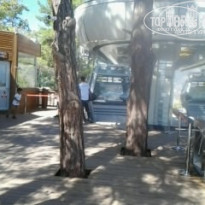 фото из отзыва ID 1652695