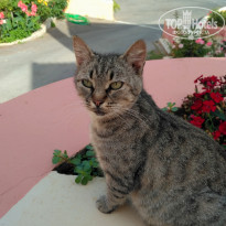 фото из отзыва ID 1657753