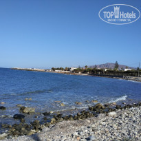 фото из отзыва ID 1657487