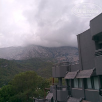 фото из отзыва ID 1657924