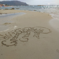 фото из отзыва ID 1658001