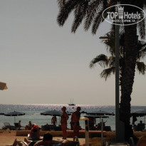 фото из отзыва ID 1658119