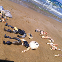 фото из отзыва ID 1658131