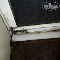 фото из отзыва ID 1658275