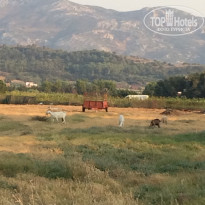 фото из отзыва ID 1658316