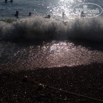 фото из отзыва ID 1658374