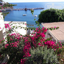 фото из отзыва ID 1658413