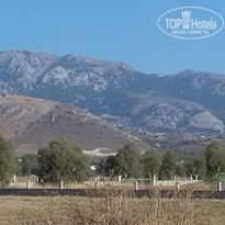 фото из отзыва ID 1658316