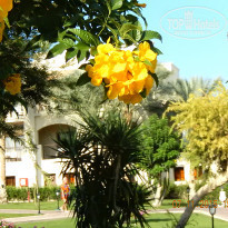 фото из отзыва ID 1658519