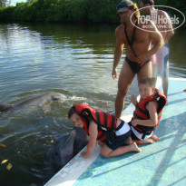 фото из отзыва ID 1658543