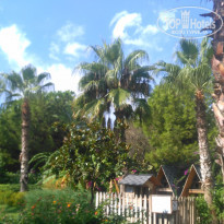 фото из отзыва ID 1658547